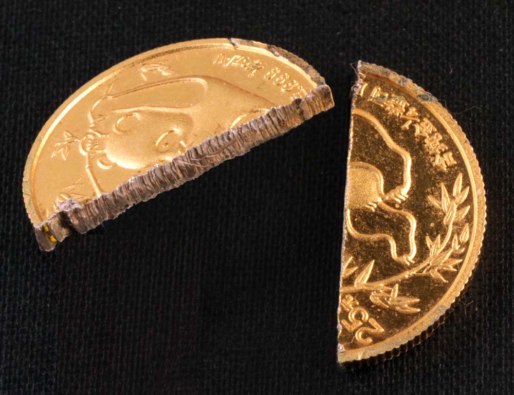 Fake gold Panda cut in half